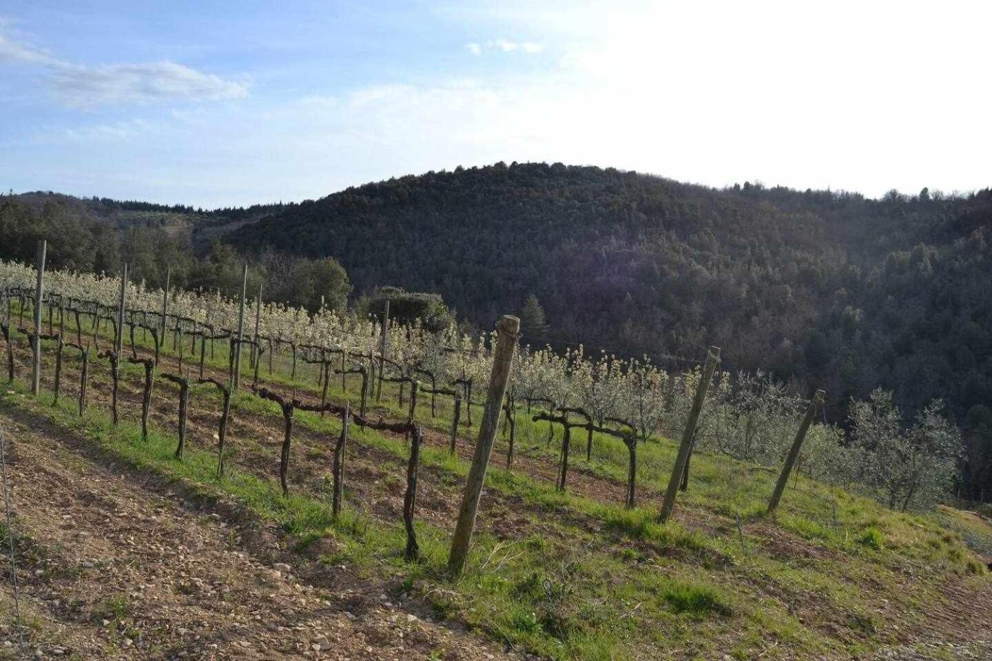 Agriturismo San Silvestro San Donato in Poggio 외부 사진
